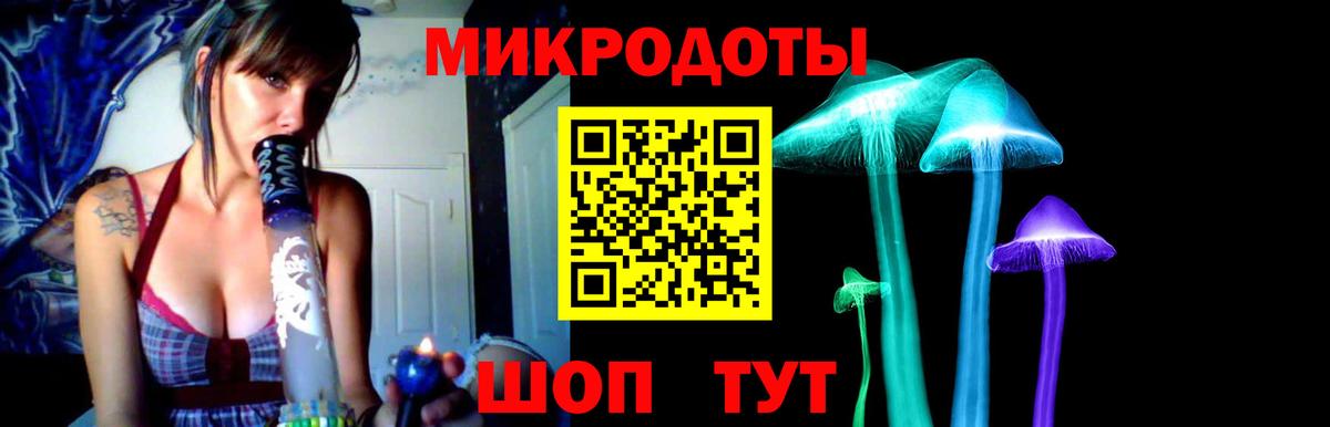 Псилоцибиновые грибы MAGIC MUSHROOMS Коркино